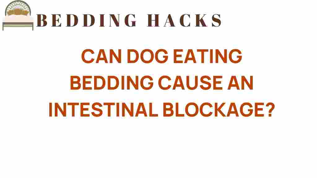 can-dog-eating-bedding-intestinal-blockage