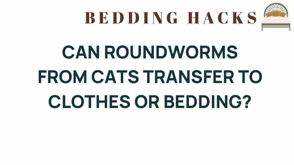 can-roundworms-from-cats-transfer-to-clothes