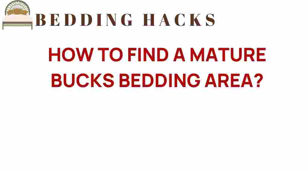 how-to-find-a-mature-bucks-bedding-area