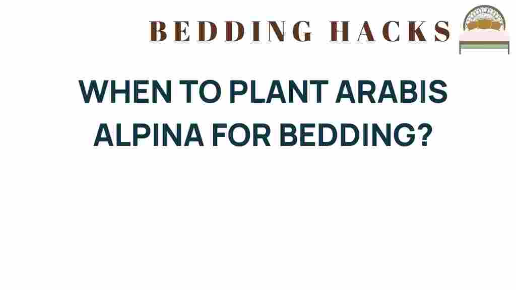 plant-arabis-alpina-bedding