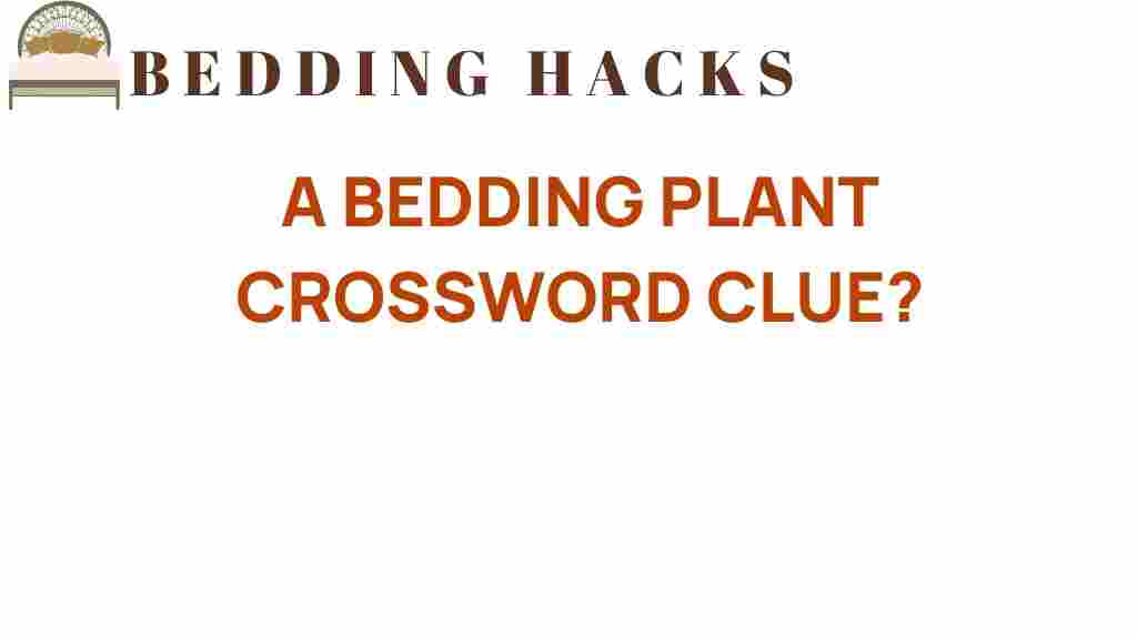 bedding-plant-crossword-clue