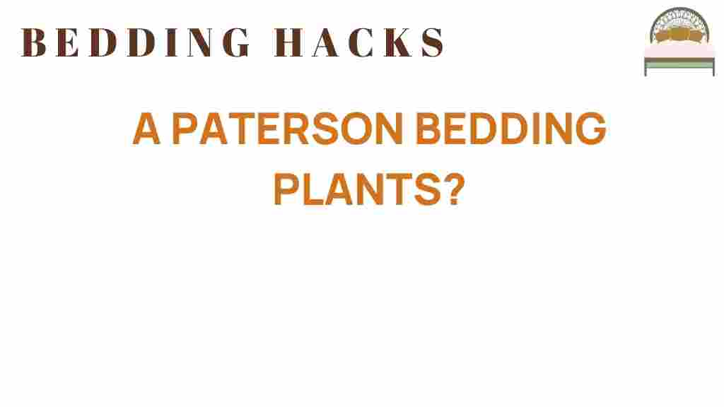 paterson-bedding-plants