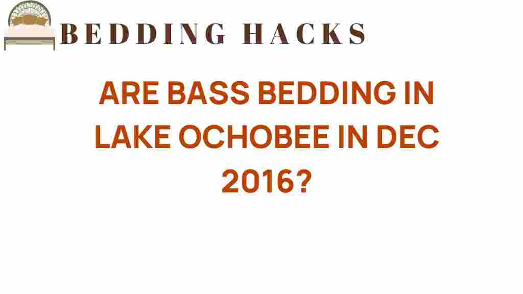 bass-bedding-lake-okeechobee-dec-2016