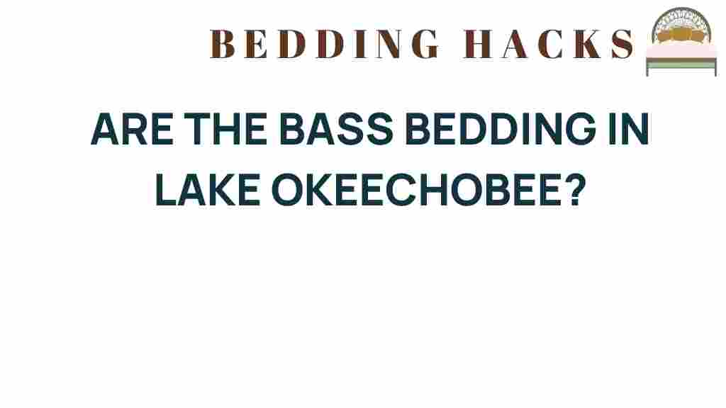 bass-bedding-lake-okeechobee