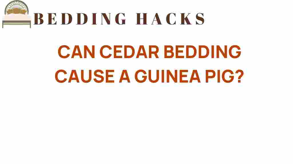 can-cedar-bedding-harm-guinea-pig