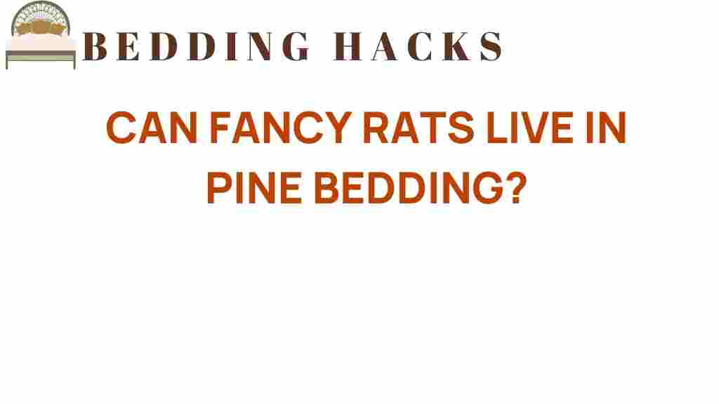 can-fancy-rats-live-in-pine-bedding