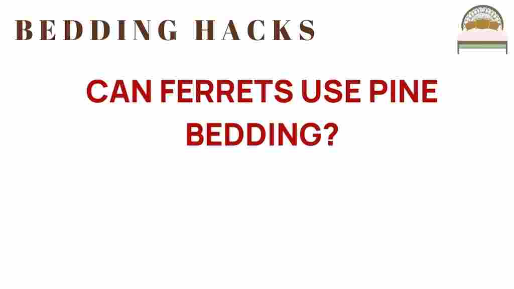 can-ferrets-use-pine-bedding