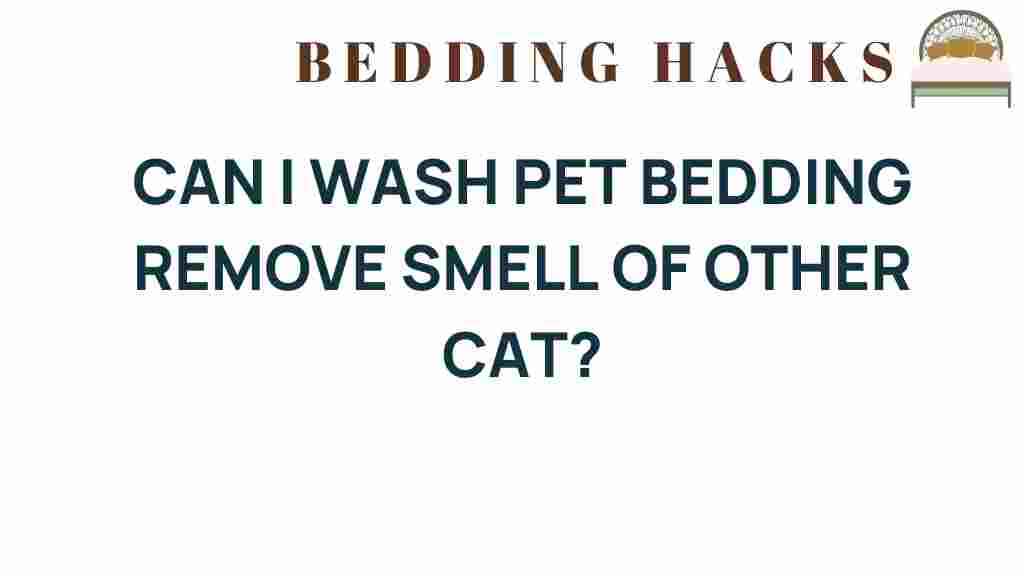 can-i-wash-pet-bedding-remove-cat-odors