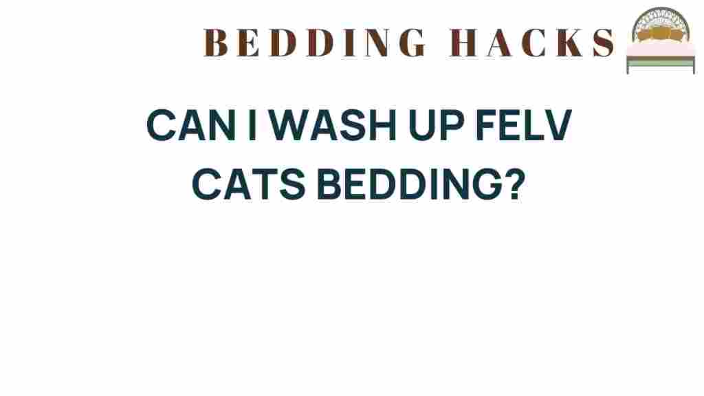 can-i-wash-up-felv-cats-bedding
