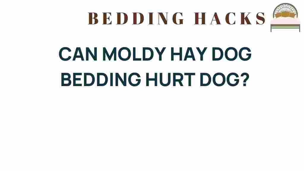 can-moldy-hay-dog-bedding-hurt-dogs