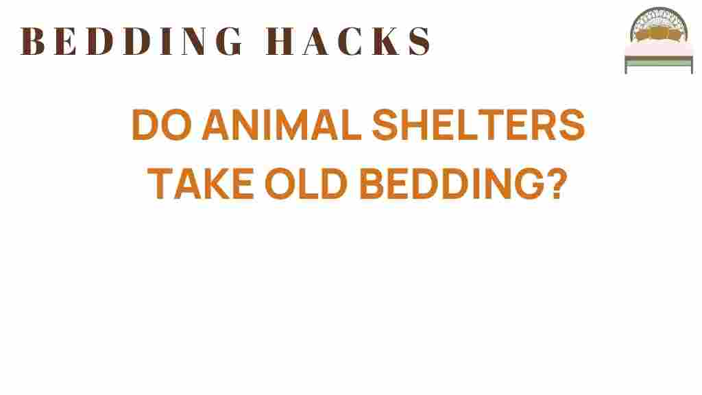 do-animal-shelters-take-old-bedding