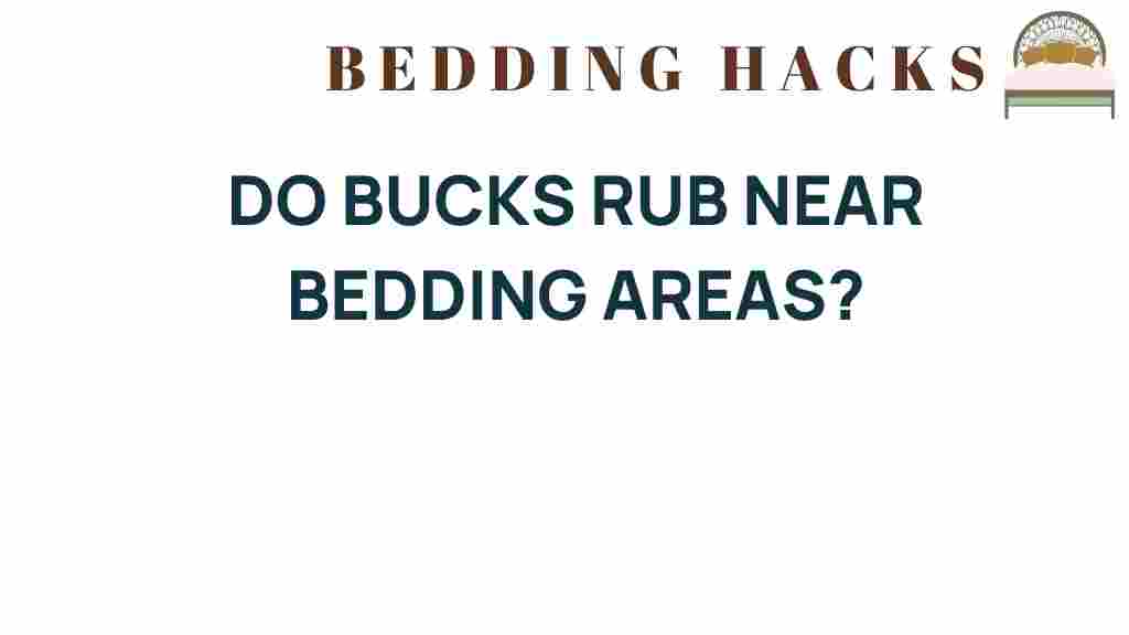 do-bucks-rub-near-bedding-areas