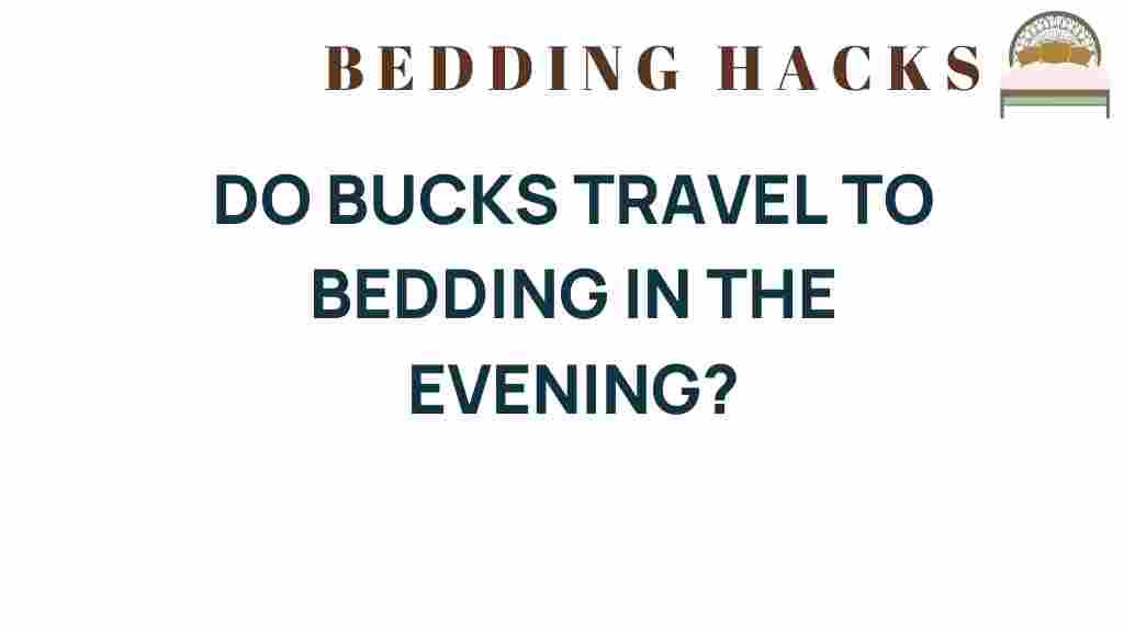 do-bucks-travel-to-bedding