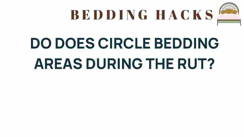do-circle-bedding-areas-deer-rut
