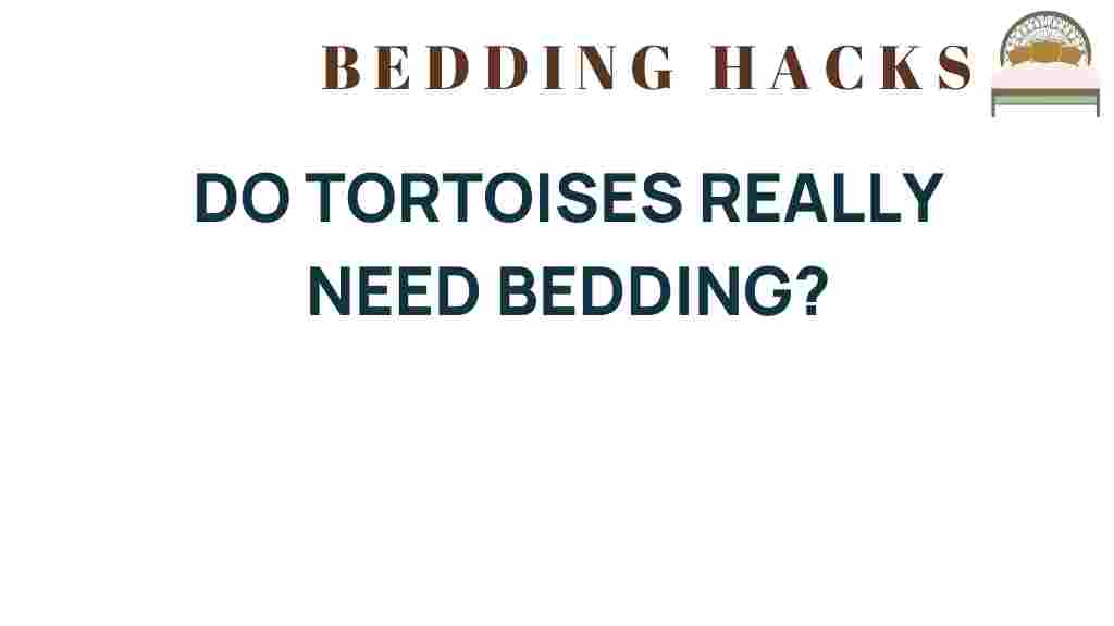 do-tortoises-really-need-bedding