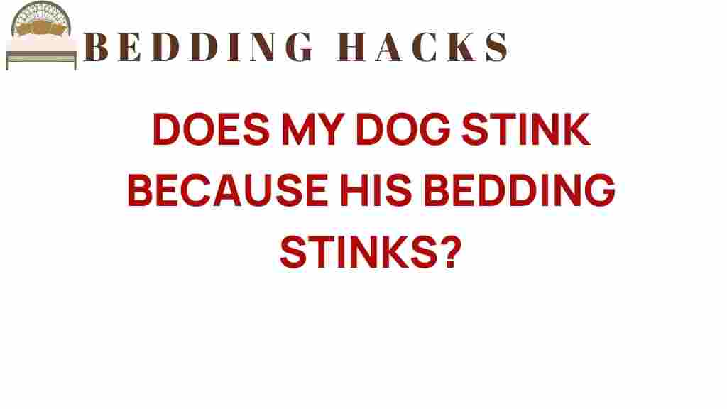does-my-dog-stink-because-his-bedding-stinks