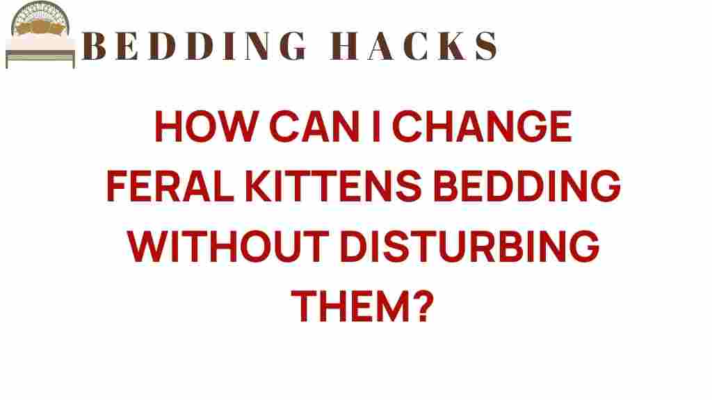 changing-feral-kittens-bedding