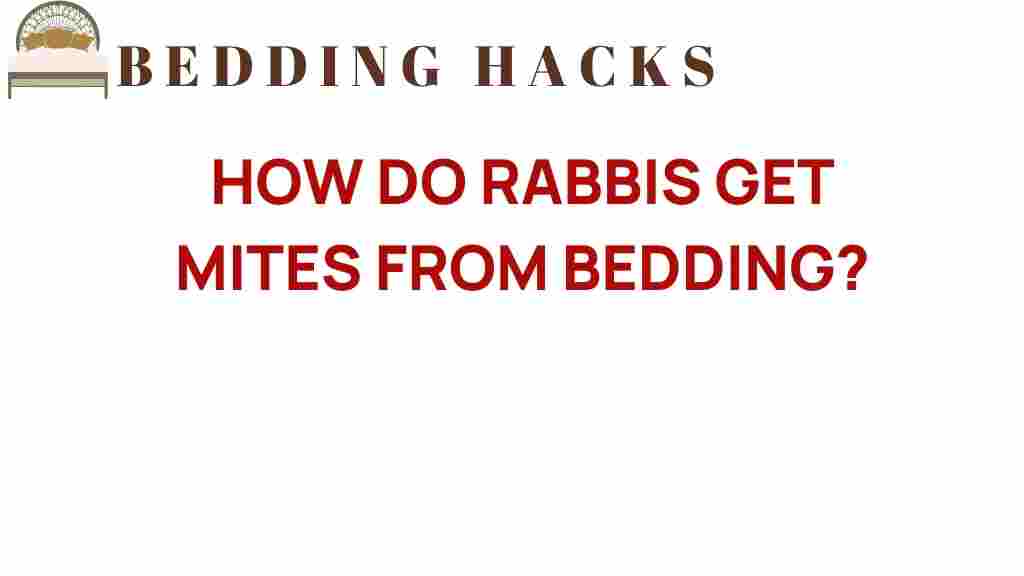 how-do-rabbis-get-mites-from-bedding