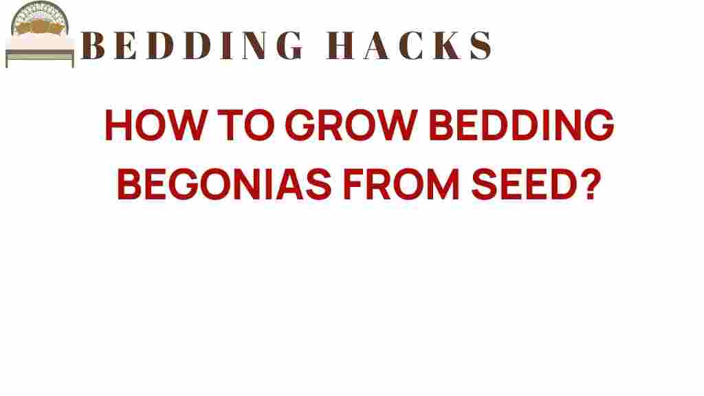 how-to-grow-bedding-begonias-from-seed