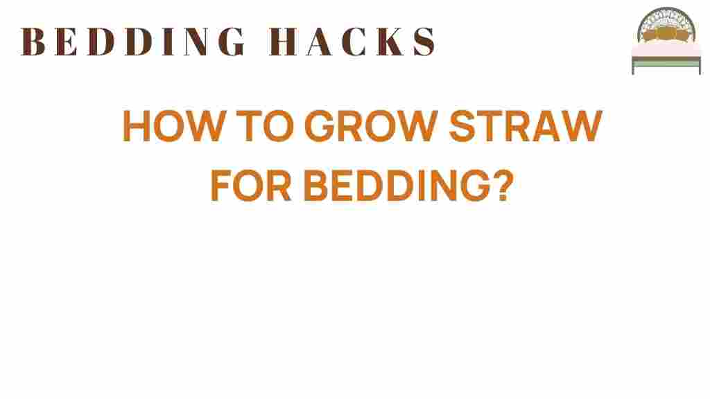 how-to-grow-straw-for-bedding