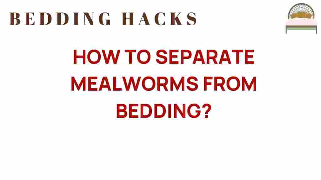 mealworms-separation-from-bedding
