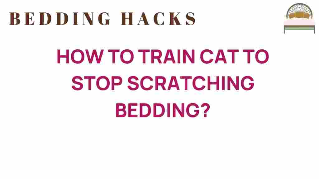 how-to-train-cat-stop-scratching-bedding