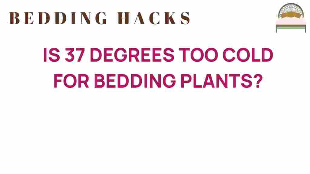 is-37-degrees-too-cold-for-bedding-plants