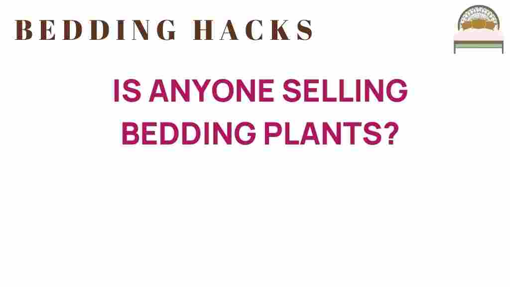 exploring-market-selling-bedding-plants