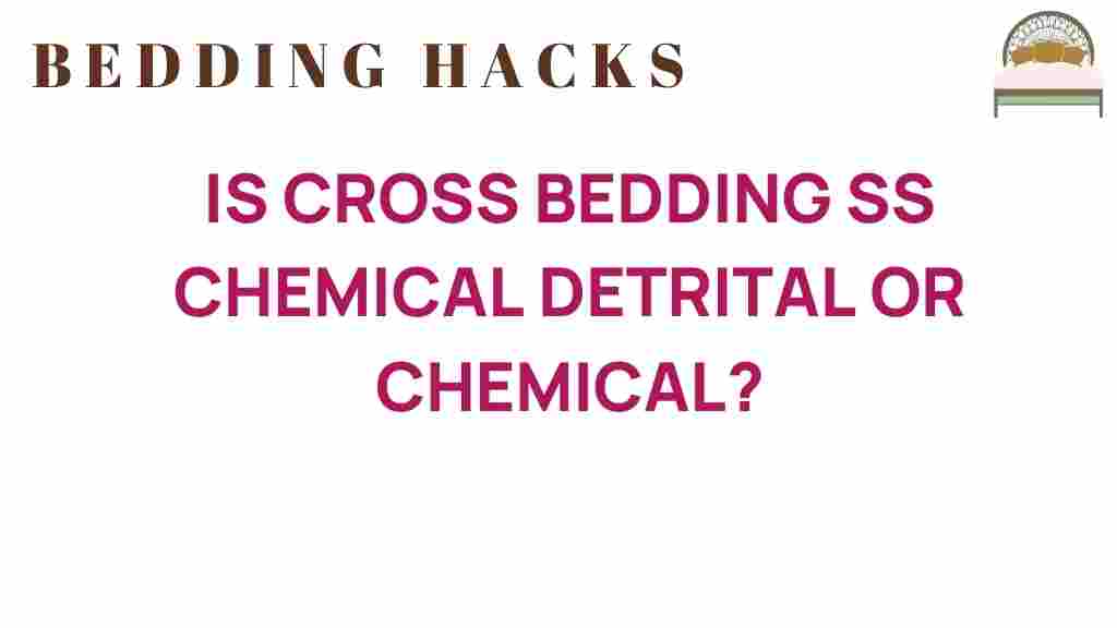 cross-bedding-ss-chemical-detrital-or-both