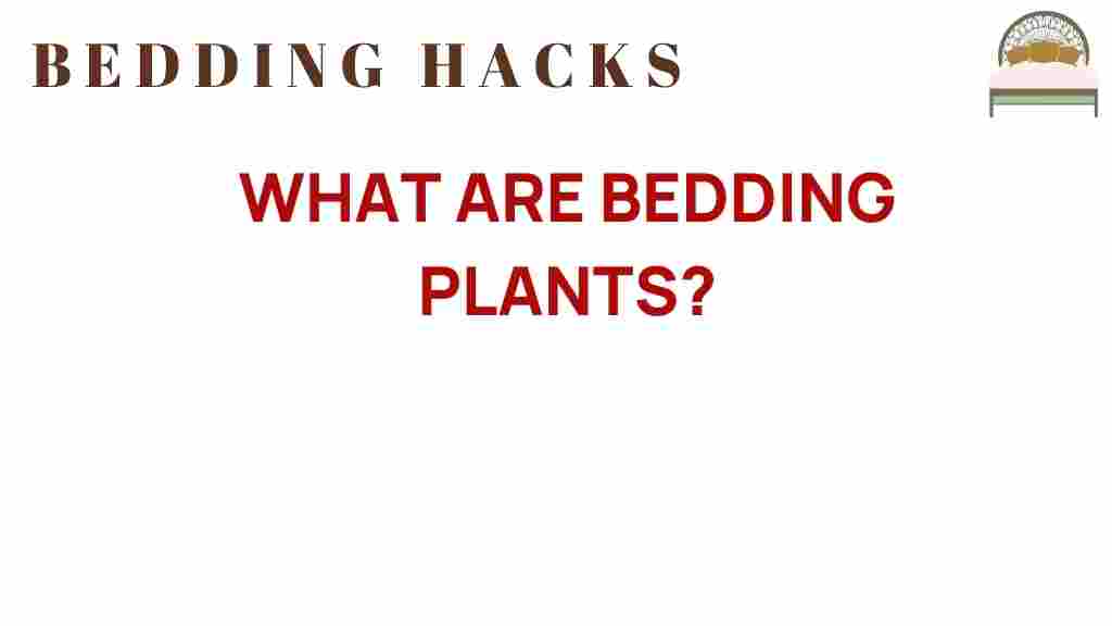 bedding-plants-discovery