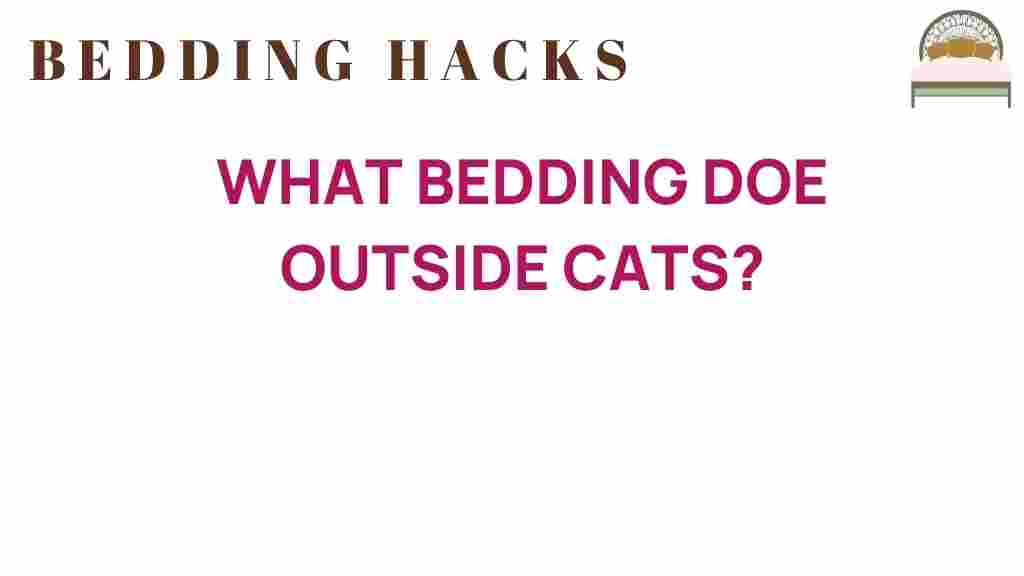 what-bedding-do-outside-cats