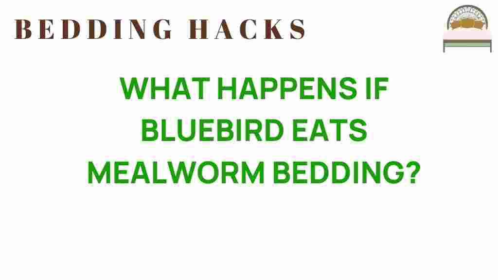 bluebird-mealworm-bedding