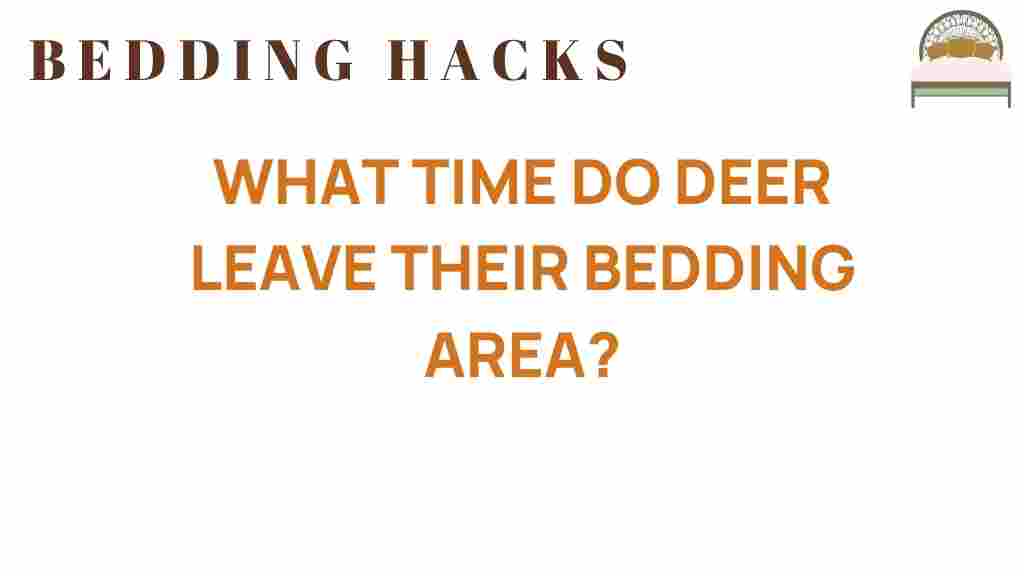 what-time-do-deer-leave-bedding-area