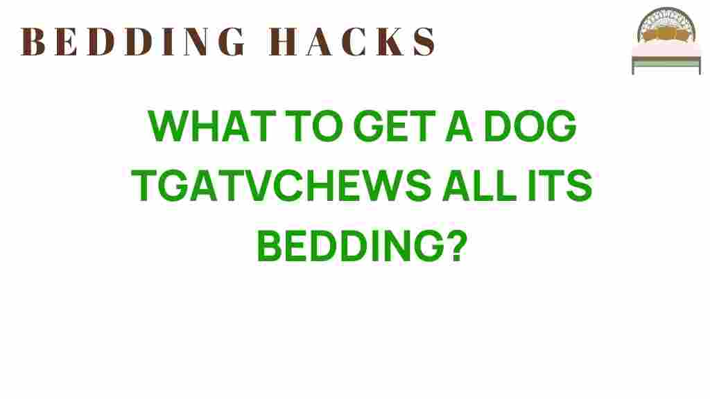dog-bedding-chews