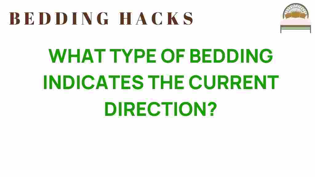 bedding-indicates-current-direction