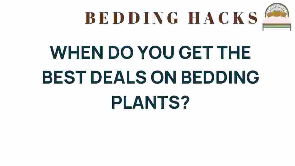 best-deals-bedding-plants