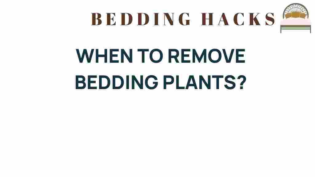 when-to-remove-bedding-plants