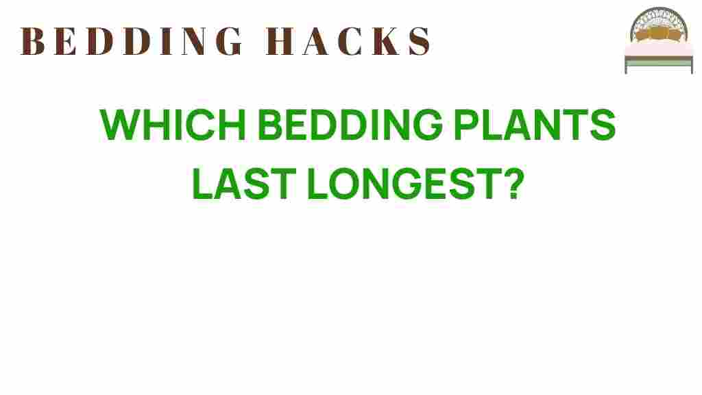 which-bedding-plants-last-longest