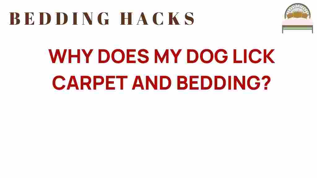 why-does-my-dog-lick-carpet