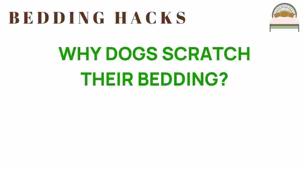 why-dogs-scratch-their-bedding