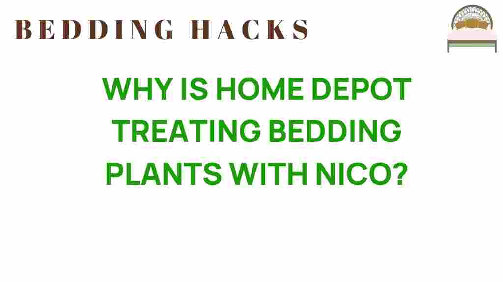 home-depot-bedding-plants-nico