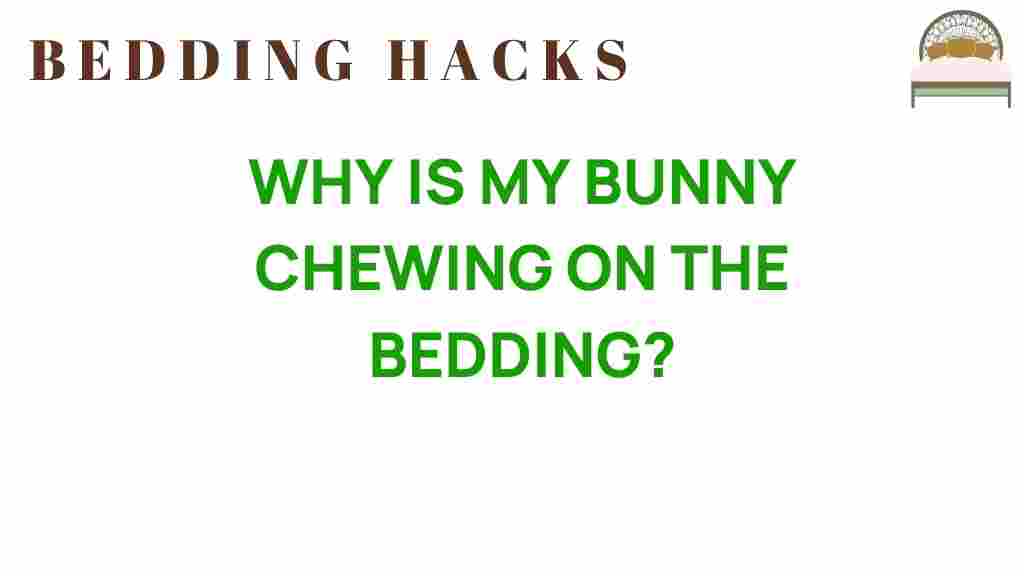 why-is-my-bunny-chewing-on-the-bedding